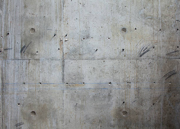 Best Concrete Grinding and Polishing in Lake Forest Park, WA